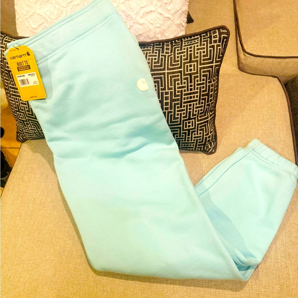 Carhartt Women’s Relaxed Fit Fleece Jogger NWT Size 1X